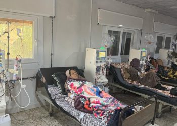 Xizmetek berfireh ji hêla navenda guvêşka Gûrçikan li Kontona Cizîrê