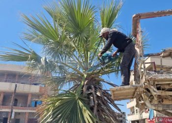 Kampanyayek berfireh ji bo parastina şînatiyan li Kantona  Cizîrê