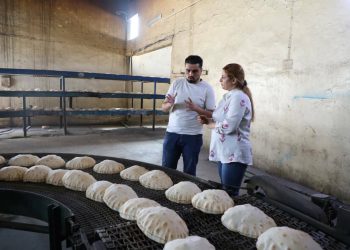 Getên teftîşê ji bo baştirkirina performansa firnan li Cizîrê