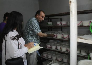 Gerek çavdêrî ji hêla Desteya  Jîngehê ve li Cizîrê