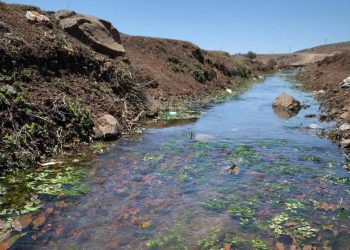 Gerên meydanî ji bo şopandina rewşa Jîngehê li Carûdî û Siwêdîk ê