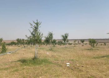 “Rêzerva Azadî”nemûneke bi hevkarî ji bo çandiniyeke domdar