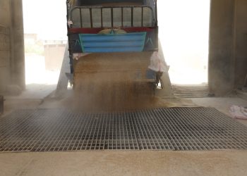 125 hezar ton genim ji destpêka demsala çinînê gihaştiye sîloyên li Kantona Cezîrê