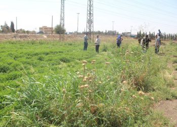 Kampanyayeke jîngehî ji bo tunekirina berhemên ku bi ava karîzan têne avdan li ser sînorê Tirkî