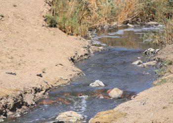 Kampanyayek ji bo rakirina binpêkirinên çandiniyê li ser çemên Xabûr û Ceqceq ji bo parastina tendrustiya giştî
