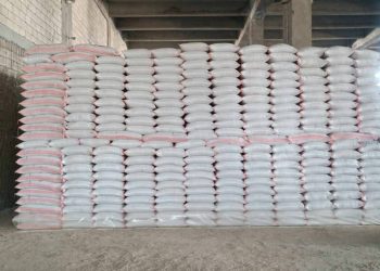 Saziya Çandiniyê amadekariyan dike ku zêdetirî 22,000 ton tovên genim ên baştirkirî li Kantona Cezîrê belav bike