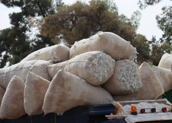 Pêvajoya wergirtina berhema pembû li navendên wergirtinê berdewam dike