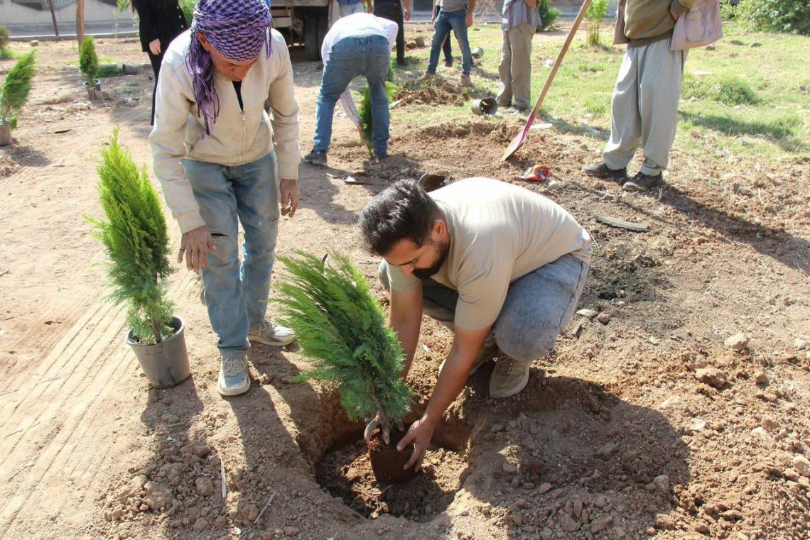 Kampaneya çandina daran li Qamişlo ji bo zêdekirina rûbera kesk û kêmkirina qirêjiyê