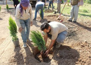 Kampaneya çandina daran li Qamişlo ji bo zêdekirina rûbera kesk û kêmkirina qirêjiyê