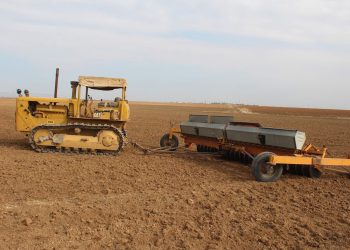 Amadekariyên werza çandiniyê li Kantona Cezîrê