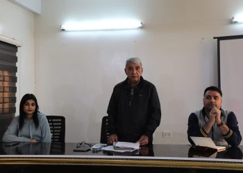 Serjimêrek berfireh û rast ji bo pêşxistina seweldariyê