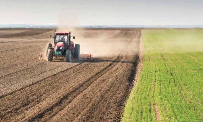 Rola baranên Payîzê di destpêkirina çandiniyê li Cezîrê