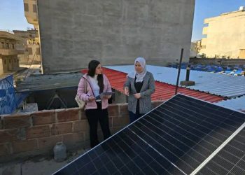 Projeya Desteya Jin li Cezîrê