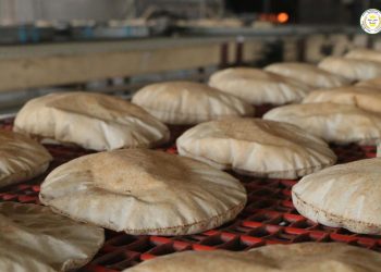 Xizmetên komîteya aborî ya Hesekê li Cezîrê