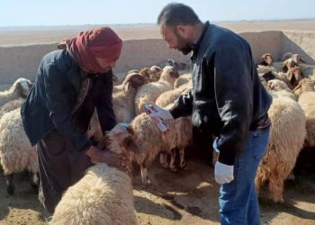 Hevserokatiya beşa seweldariyê pêşveçûna serjimariyê li Kantonê dişopînin