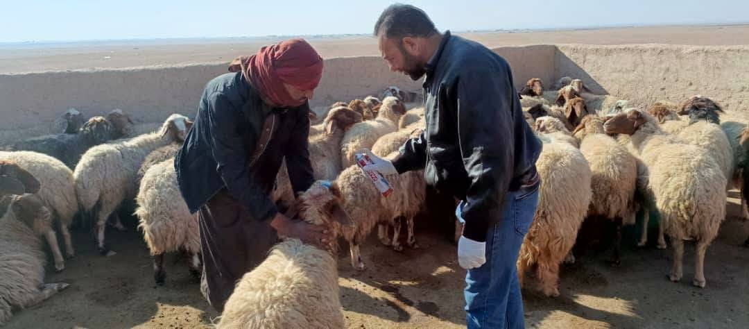 Hevserokatiya beşa seweldariyê pêşveçûna serjimariyê li Kantonê dişopînin