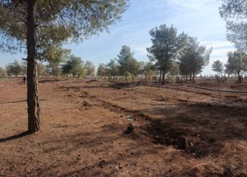 Kampaneyek darçandina berfireh li Cezîrê