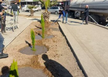 Kampaneya darçandinê li Hesekê