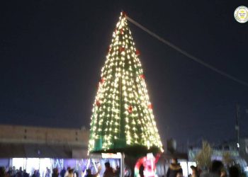 Li Hesekê dara sersalê ya “Îlona” hat vêxistin