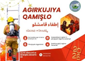 #Şaredarlya_Qamişlo