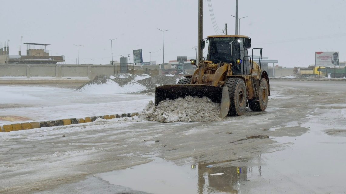 #Şaredarlya_Qamişlo