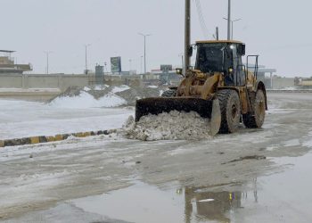 #Şaredarlya_Qamişlo