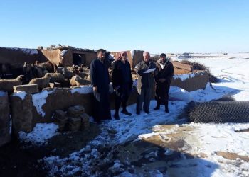 Hewldanên komîteyên serjimariyê li Cizîrê tevî berf û sermayê