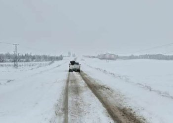 #Şaredariya_Qamişlo