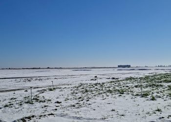 Girîngiya barîna berfê ji bo zeviyên çandiniyê li kantona Cizîrê