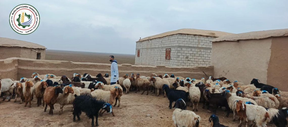 Li Kantona Cizîrê li ser bingeha serjimêriya nû dest bi belavkirina êm tê kirin