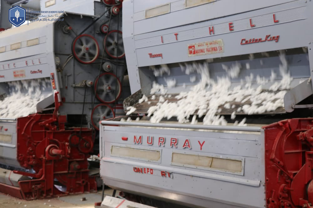 تطوير الاقتصاد في شمال وشرق سوريا من خلال الاستفادة من محصول القطن للوصول الى الاكتفاء الذاتي