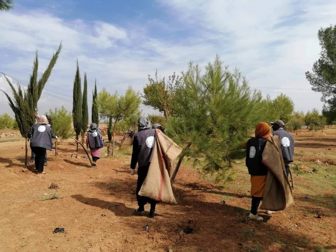 ضمن حملة جمع البذار التي أطلقتها هيئة البيئة في مقاطعة الجزيرة