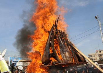 الإدارة الذاتية الديمقراطية لمقاطعة الجزيرة تكشف مراكز احتفالات عيد نوروز