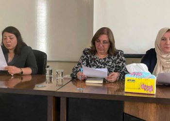 المرأة في الجزيرة تعزّز دورها المؤسساتي