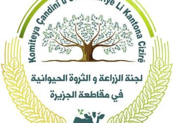 تدابير لحماية المحاصيل وتسهيل استلامها في مقاطعة الجزيرة