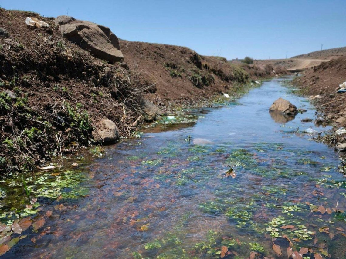 جولة ميدانية للهيئة البيئية لرصد الواقع البيئي في الجارودية وسويديك