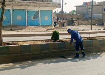 جهود بلديات الشعب في تحسين البيئة والخدمات الأساسية