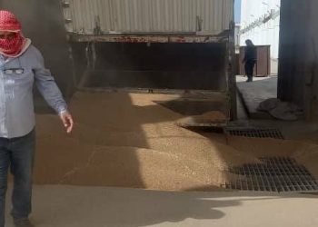 استمرار استلام محصول القمح في مراكز الشراء المعتمدة ضمن الجزيرة