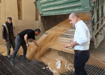 جولة ميدانية لمجلس وهيئة الاقتصاد والزراعة على صوامع الجزيرة