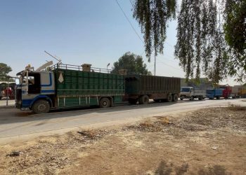 مراكز استلام الحبوب في تل حجر وصباح الخير تتسلمان 4000 طن من القمح منذ مطلع حزيران