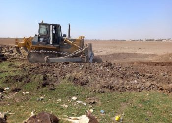 بلدية الشعب في قامشلو تتدخل بعد العثور على عدد كبير من الحيوانات النافقة