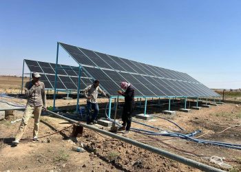 نحو طاقة مستدامة .. استمرار تركيب ألواح شمسية في الجزيرة