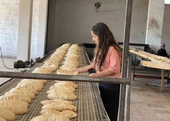 جهود بلدية الشعب في الدرباسية.. تطوير البنية التحتية وتعزيز الرقابة