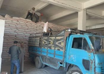 تسجيل 18 ألف قيد زراعي وتوزيع 27 ألف طن بذار في الجزيرة