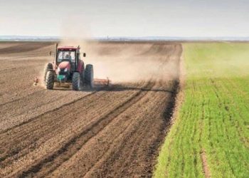 الأمطار الخريفية ودورها المحوري في إطلاق الموسم الزراعي في الجزيرة