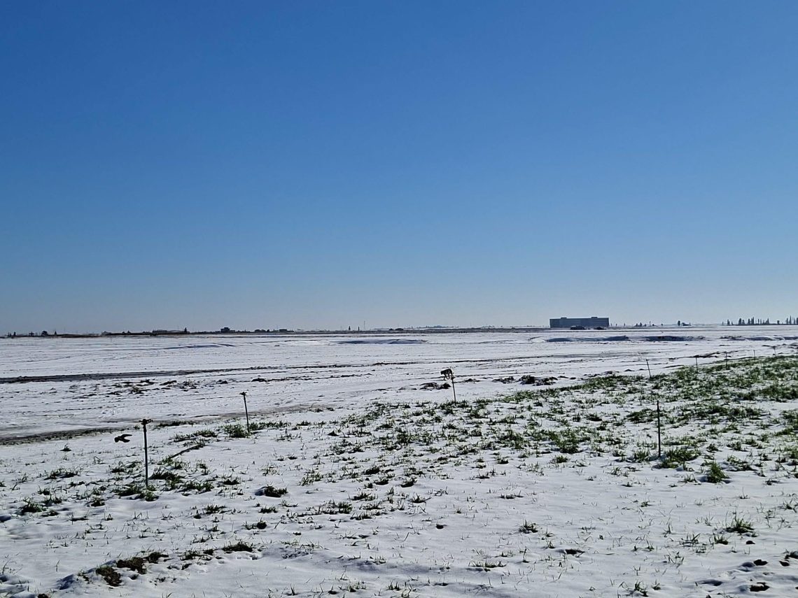 اهمية تساقط الثلوج على الأراضي الزراعية في مقاطعة الجزيرة