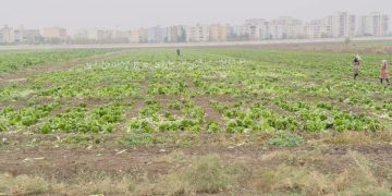 بلدية قامشلو تعزز جهودها لحماية الصحة العامة