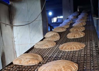 خطوات مستمرة لتأمين الخبز ودعم الأفران في مقاطعة الجزيرة في ظل الظروف الراهنة