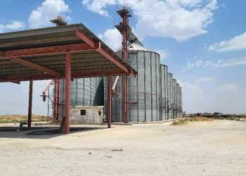 تنسيق مستمر لضمان توفر الطحين والخبز في مقاطعة الجزيرة